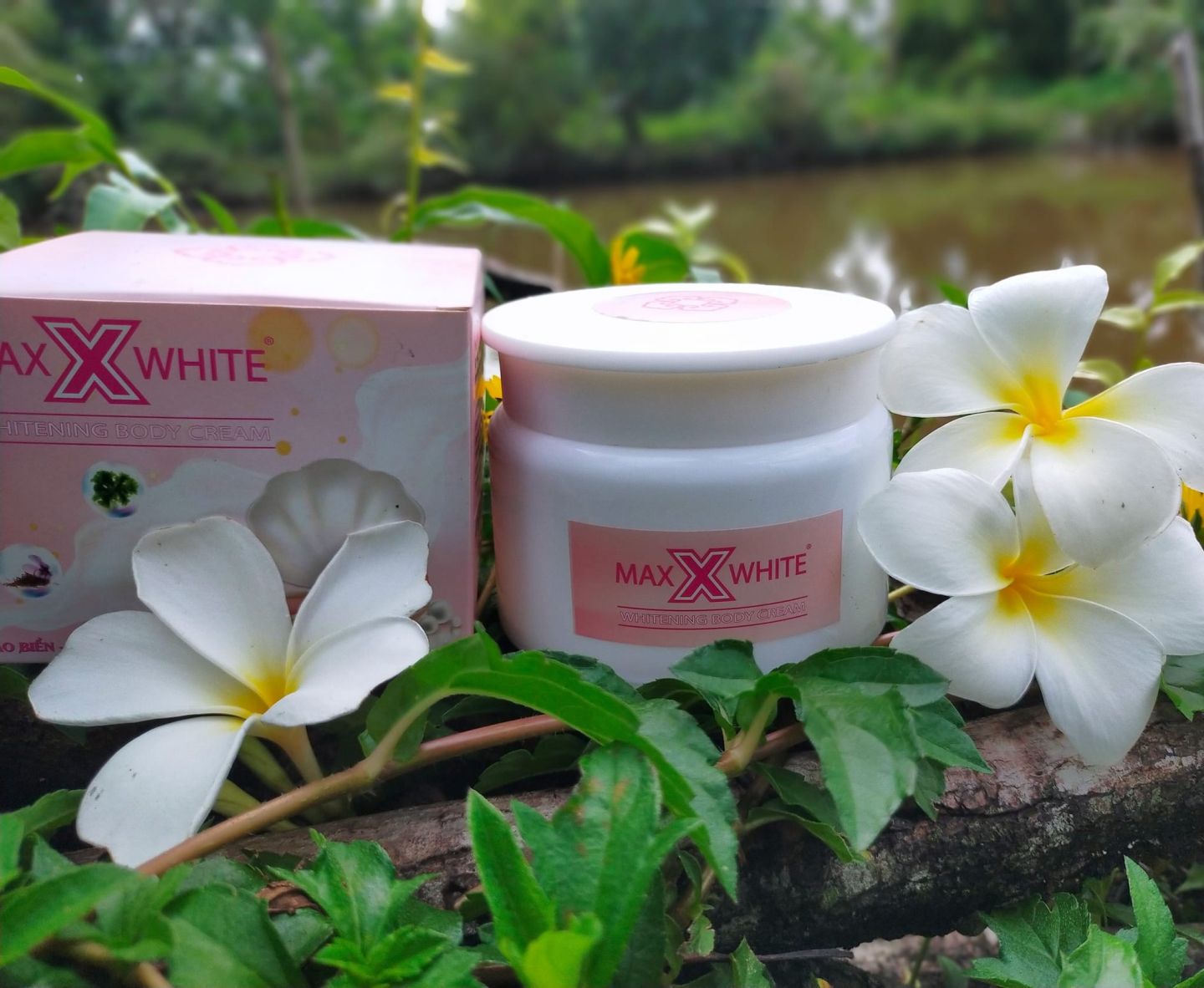 Kem trắng da an toàn , hiệu quả hot trên thị trường Body Cream MaxXwhite